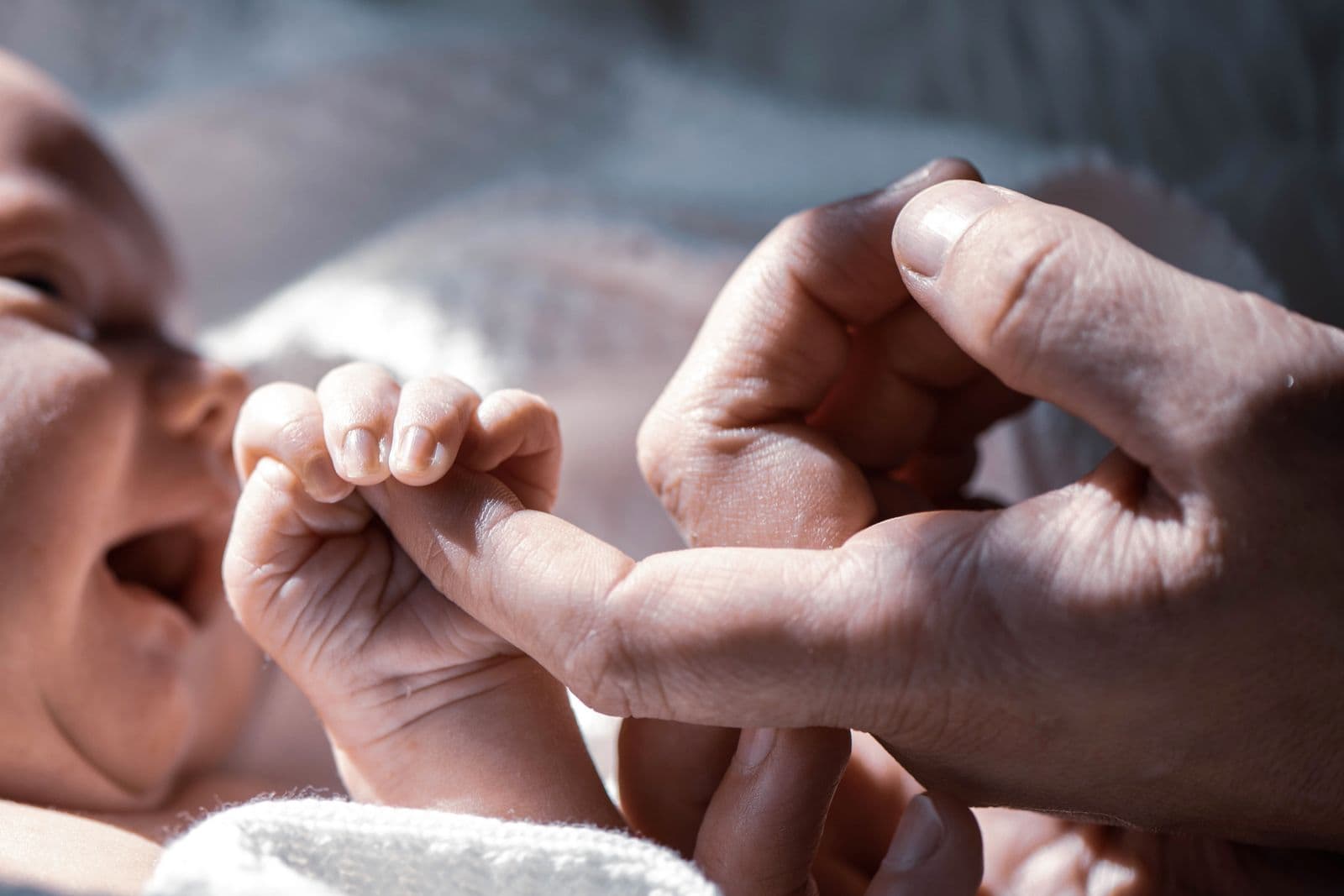 A newborn baby holding a parent's finger